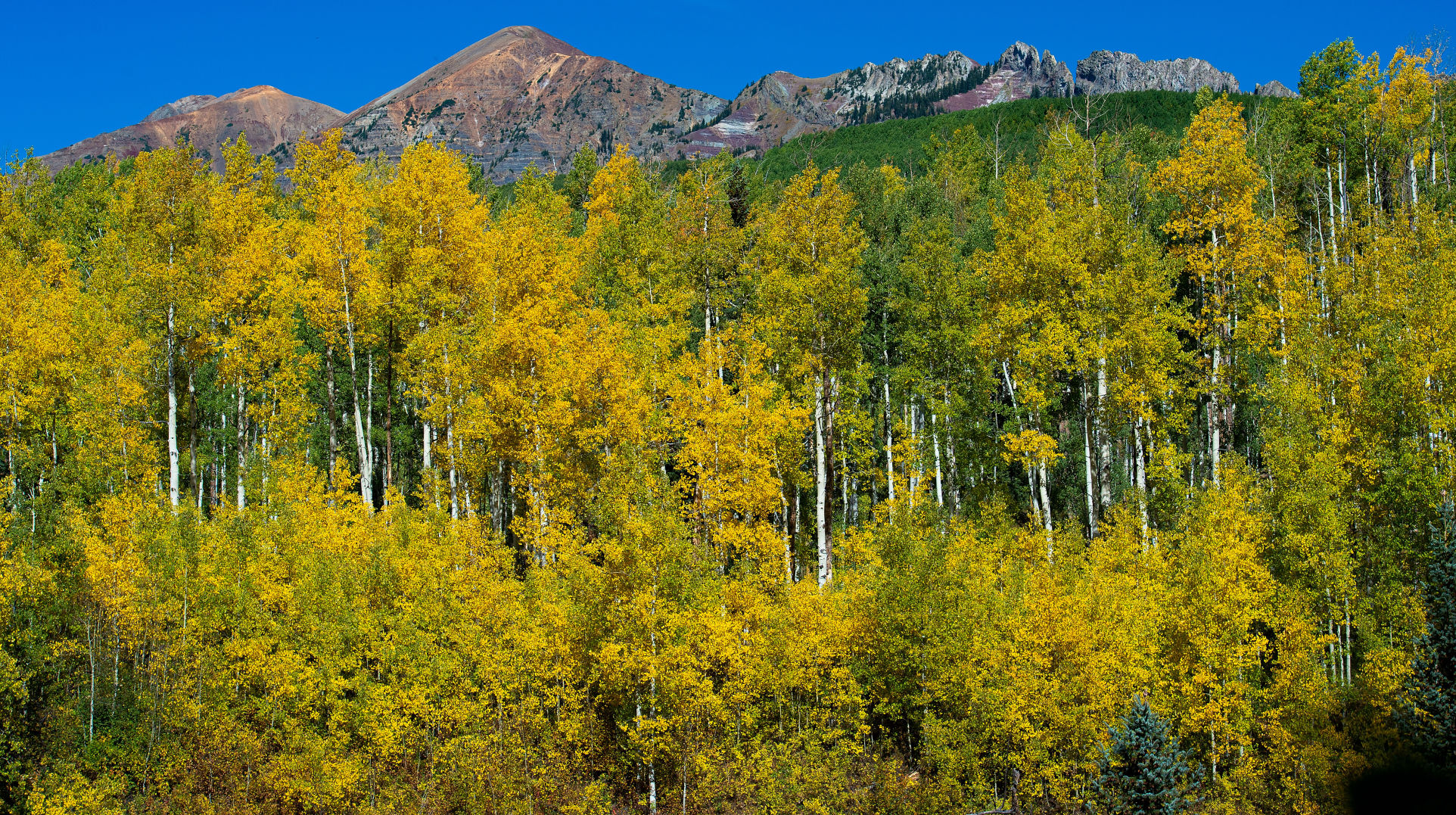 09_24_19 crested butte0769.jpg
